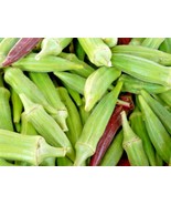 Bloomys 100 Seeds Clemson Spineless Okra Seeds Organic Heirloom Summer Vegetable - $10.38
