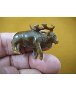 (tb-elk-2) little tan buck Elk Tagua NUT palm figurine Bali Moose Wapiti - $1,330.29 MXN