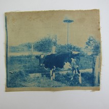 Cyanotype Photograph On Cloth Cow Standing at Fence by Water Tower Antique 1800s - £39.30 GBP