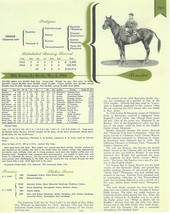 1944 - PENSIVE - Kentucky Derby Pedigree, Career Highlights &amp; Race Chart - £15.68 GBP