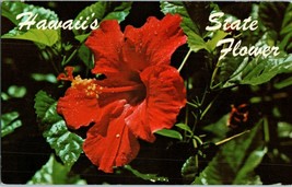 Red Hibiscus the official State flower of Hawaii Hawaii Postcard - £5.44 GBP