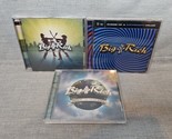 Lot of 3 Big &amp; Rich CDs: Between Raising Hell, Horse of a Different Colo... - $10.44