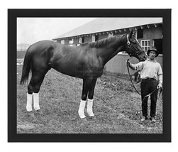 Man O War Champion Thoroughbred Race Horse 1920 8X10 Framed Photo - £15.79 GBP