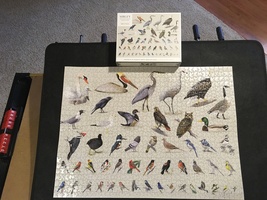 Potter Sibley Backyard Birding Jigsaw Puzzle 1000 Pieces Complete w/Poster Birds - £6.10 GBP