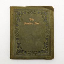 Percy Bysshe Shelley, The Sensitive Plant, Rivière &amp; Son c. 1910, Rare Edition - £67.68 GBP