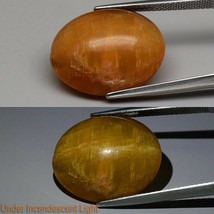 11.67 cwt Untreated Earth Mined Opal. Cats Eye . Master Valuer Appraisal: 305 US - £126.54 GBP