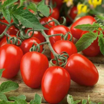 French Liz Red Long Tomato - 300 Seeds - $6.58