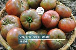 Cherokee Purple Tomato Seeds | Heirloom, Non-GMO | Dusky Pink-Purple | 8... - $4.99+