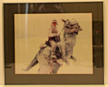 The Empire Strikes Back 1980 Mark Hamill Framed Lithograph  - $197.01