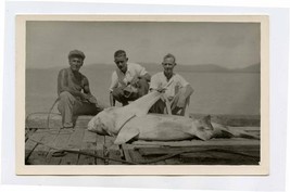 Thursday Island 3 Men and a Shark Real Photo Postcard Queensland Australia 1930s - £29.41 GBP