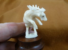 TB-MOO-12) white Moose elk buck rearing tagua nut figurine Bali detailed... - $46.98