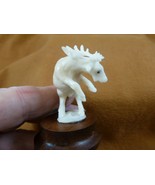TB-MOO-12) white Moose elk buck rearing tagua nut figurine Bali detailed... - $46.98