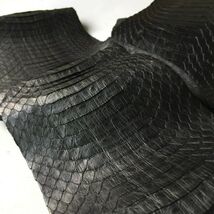 Asia Cobra Snake Skin Snakeskin Leather Hide Craft Supply Back Cut Anili... - $9.89+