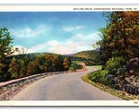 Skyline Guida Shenandoah National Park Virginia VA Lino Cartolina T4 - $3.03