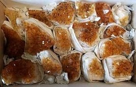 ~2lb Flat of Citrine druse - €159,91 EUR