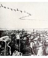 Flamingo Colony With Nests In Coastal Environment 1936 Bird Print Nature... - €17,16 EUR