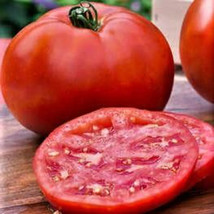 SKMO 50 Seeds Easy To Grow Supersonic Tomato Hybrid Vegetable SKMO Tomatoe - $8.69