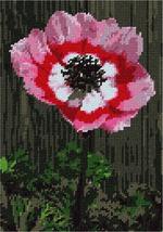 Pepita needlepoint canvas: Ombre Anemone, 7&quot; x 10&quot; - £37.37 GBP+