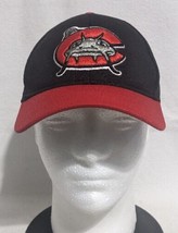 Carolina Mudcats Hat Cap Strapback Youth Black Red Embroidered MILB Minor League - £11.37 GBP