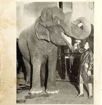 1930 Betty Bell Circus Print Elephant Babe Antique Carnival Ephemera 8 x 5 - $41.81 CAD