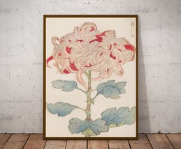 A Chrysanthemum, Japanese Art Print, Floral Illustration, Poster and Canvas - $12.00+