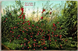 Vtg Cartolina 1900s Yakima Valley Washington Wa - Completo Carico Apple Albero - £8.00 GBP