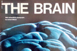 1971 LIFE Magazine October 1, THE BRAIN A New Series PART 1 Miracles &amp; Mysteries - £15.60 GBP