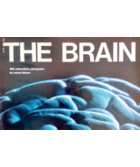 1971 LIFE Magazine October 1, THE BRAIN A New Series PART 1 Miracles &amp; M... - £15.43 GBP