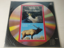 NHK Settlers del Planet Peregrine Falcon Moose Hornbill Manati Laserdisc... - $17.95 NHK Settlers del Planet Peregrine Falcon Moose Hornbill Manati Laserdisc... - $17.95