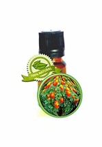 French Marigold Essential Oil - 100% Pure Tagetes Patula - 5ml (1/6oz) - Undilut - £19.57 GBP