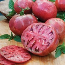 SGHOST Tomato Cherokee Purple Beefsteak Indeterminate Non Gmo 30 Seeds  USA Sell - $8.26