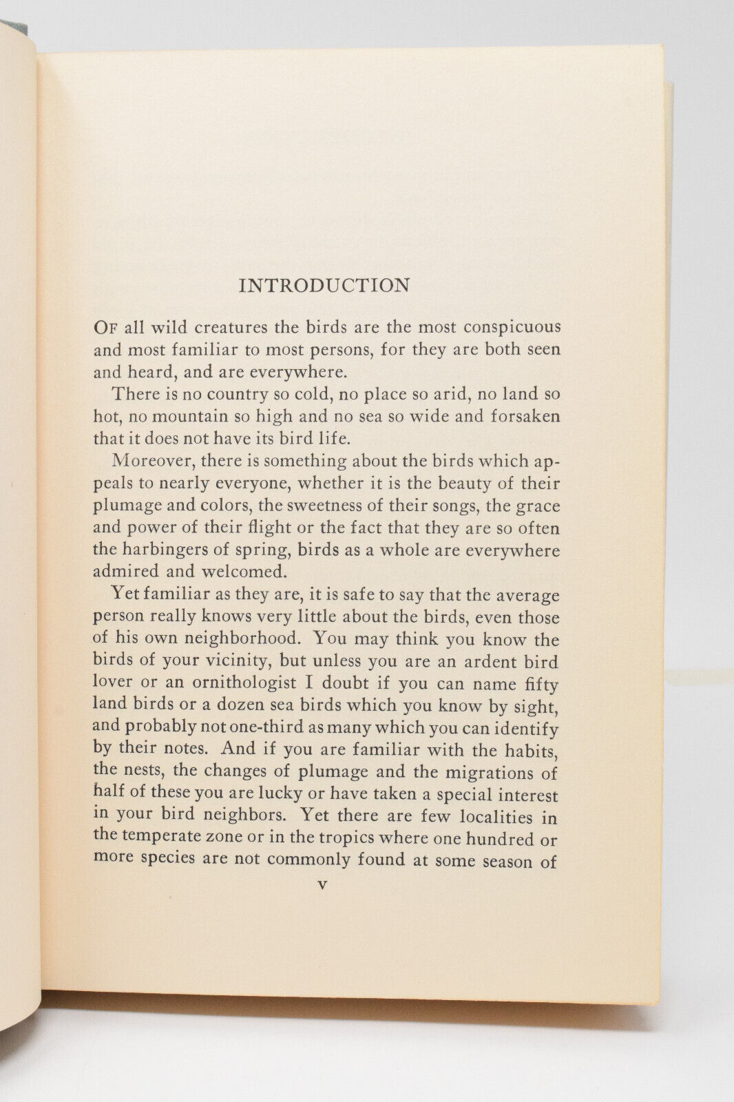 How to Attract the Birds Neltje Blanchan 1913 Reprint HC Item image 7