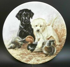 Field Puppies United Kennel Club Porcelain Plate Dogs Labrador Retriever - $11.88