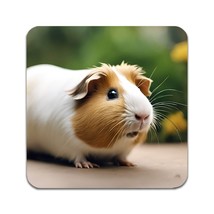 2 PCS Animal Guinea Pig Coasters - £11.65 GBP