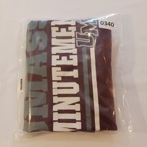 Champion Authentic UMass Minutemen Men’s Burgundy Cotton T-Shirt Size XL image 7