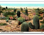 Devils Cafctus Garden Palm Springs California CA UNP WB Postcard C20 - £4.63 GBP