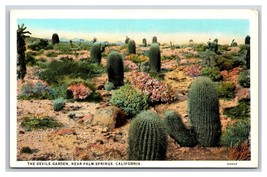 Devils Cafctus Garden Palm Springs California CA UNP WB Postcard C20 - £4.65 GBP