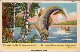Thessalon Ontario Exaggerated Fish We Caught &#39;Em Like This Postcard Y15 - £15.58 GBP