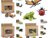 Montessori Life Cycle Animal Figures With Flash Cards, Realistic Animal ... - £34.36 GBP