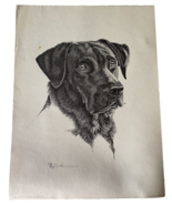 Mary Dove Texas Artist Signed Art Print Black Labrador Retriever Beowolf... - $1,866.14 MXN