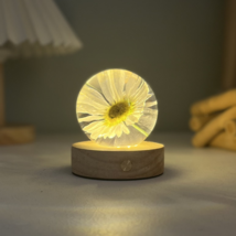 Oxeye Daisy Resin Crafts Leucanthemum Floral custom gift Personalized Lamp Gifts - £45.41 GBP