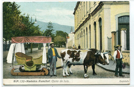 Ox Sled Cart Carro de Bois Funchal Madeira Portugal 1910c postcard - £5.11 GBP