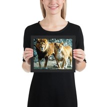 Lion and Lioness II - £22.85 GBP