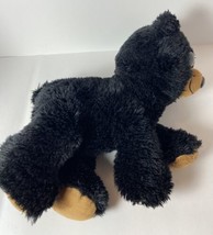Aurora Sullivan Black Bear Flopsie Plush Stuffed Animal Toy Dec 2017 Realistic - $10.80