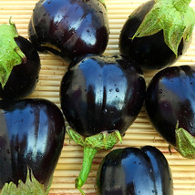 200 Seeds Black Beauty Eggplant Gardening - £4.72 GBP