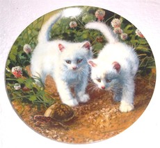 &quot;A Chance Meeting: White American Shorthairs&quot; Cat Plate  Amy Brackenbury... - $60.99