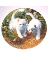 &quot;A Chance Meeting: White American Shorthairs&quot; Cat Plate  Amy Brackenbury... - $1,138.45 MXN