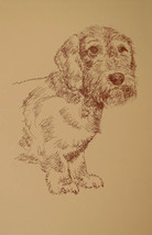 Wirehaired Dachshund Dog Art Print #45 Stephen Kline adds dogs name free. GIFT - £39.92 GBP