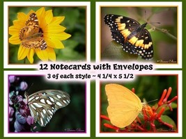 Note Cards  Butterfly Designs  Set of 12 - $12.00