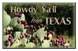 Greeting Card from Texas with Prickly Pear - £2.75 GBP